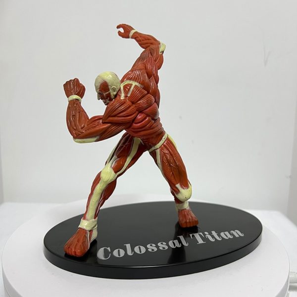 Figurine Titan Colossal - District SNK